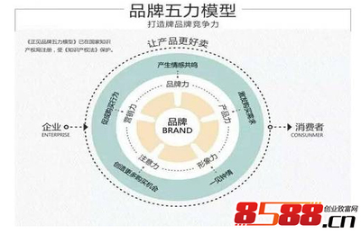 網絡時代品牌建設與傳播的快速通道 策略與實踐