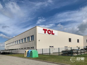 對(duì)話王成 TCL如何在2020年躋身歐洲前三，國(guó)內(nèi)貿(mào)易代理又扮演何種角色？